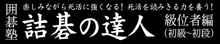 囲碁塾　詰碁の達人　級位者編